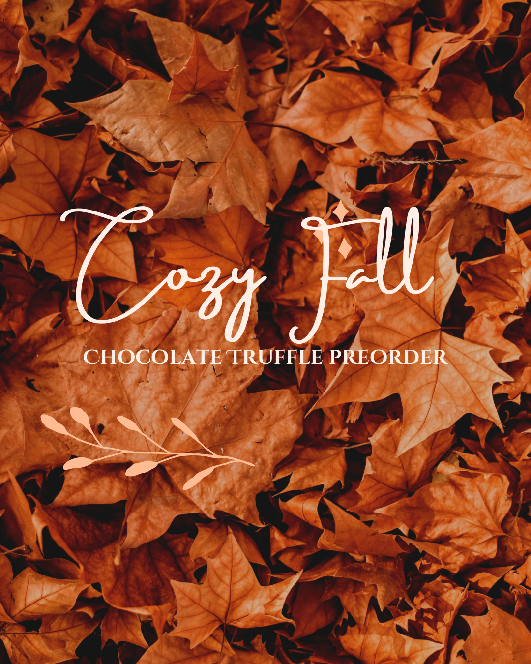 Cozy Fall Chocolate Truffles Preorder