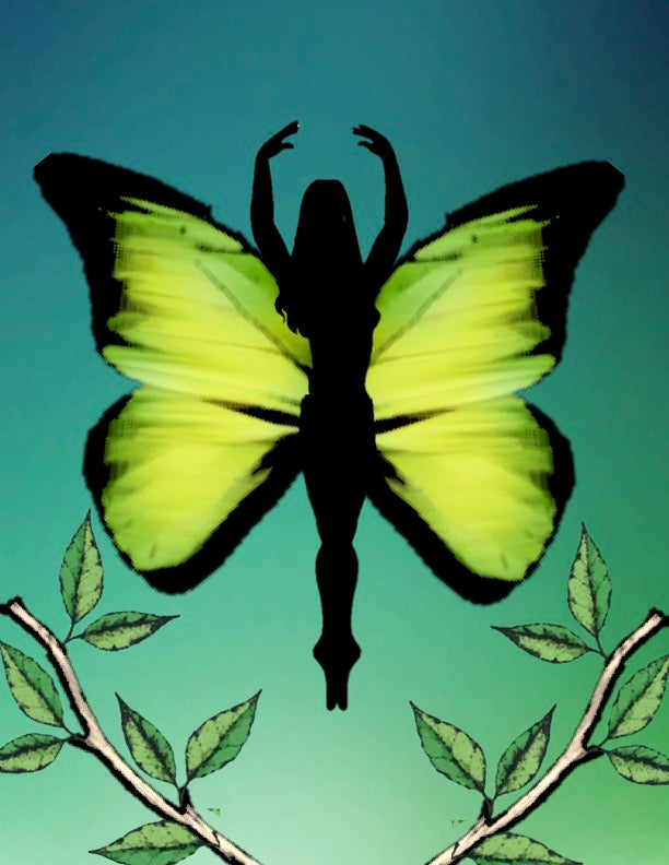 Butterfly Series - Art Prints